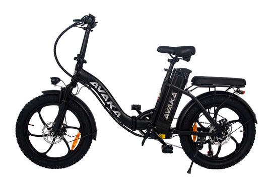AVAKA BZ20 PLUS