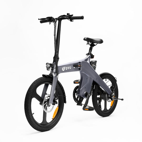 DYU T1