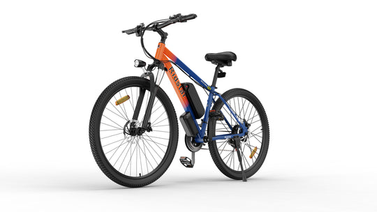 Ridstar S29