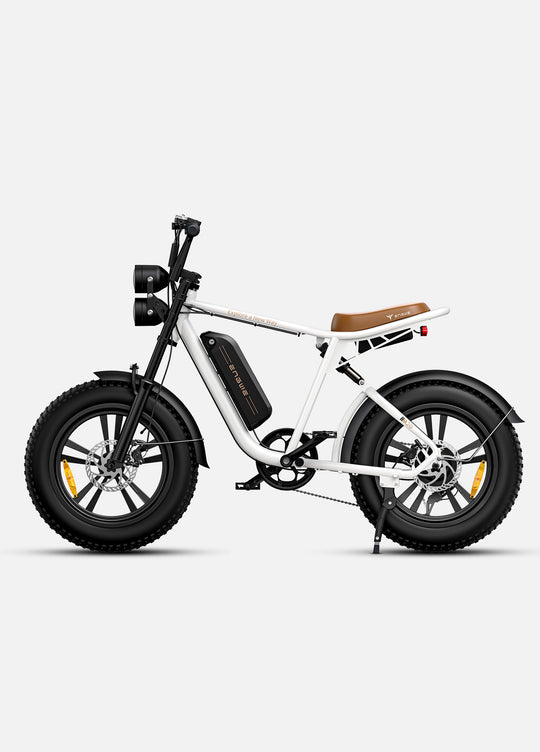 ENGWE M20